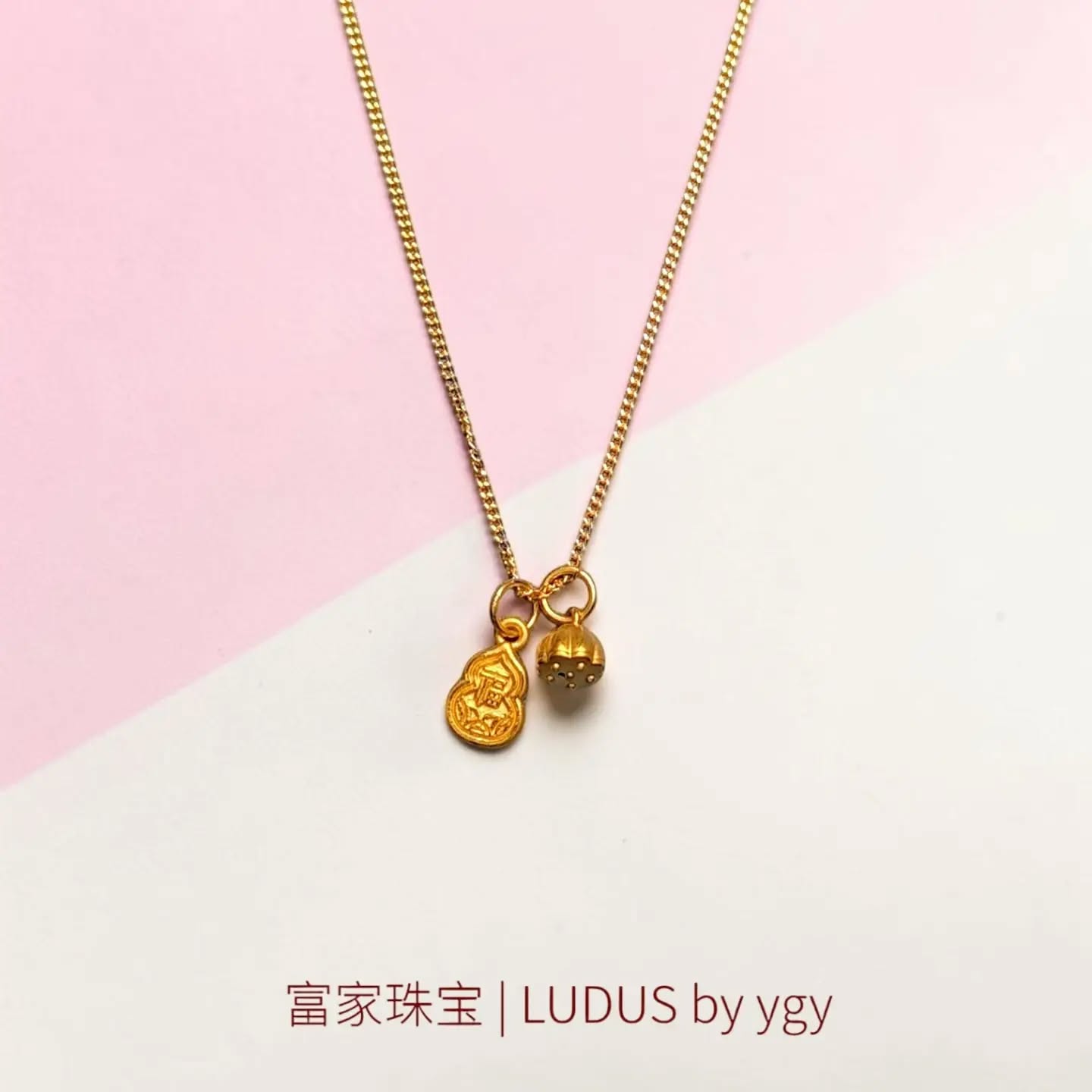 Elegant Dual Charm Necklace