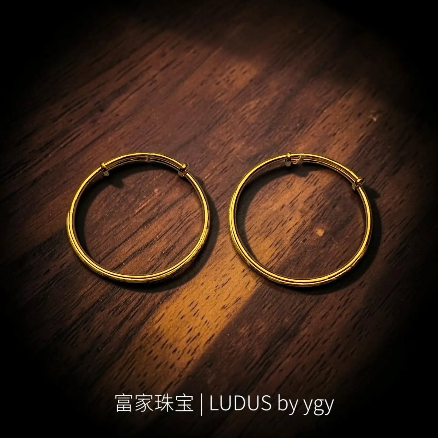 Elegant Gold Hoop Earrings