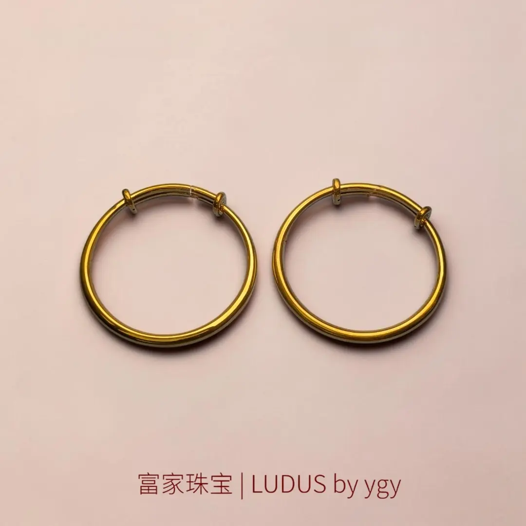 Elegant Gold Hoop Earrings